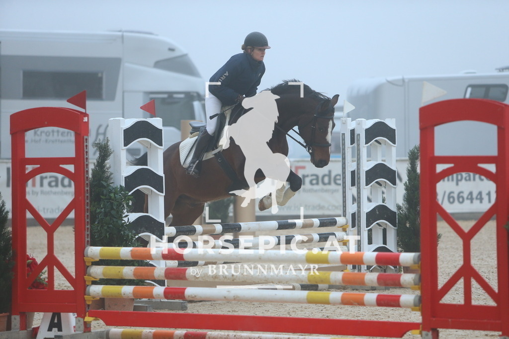 DL2Q8229 | Willkommen bei Brunnmayr - Design & Fotografie – Ihrem Spezialisten für Reitturniere und Pferdeveranstaltungen in Oberösterreich, Salzburg und Bayern! Seit über 17 Jahren sind wir leidenschaftlich dabei.