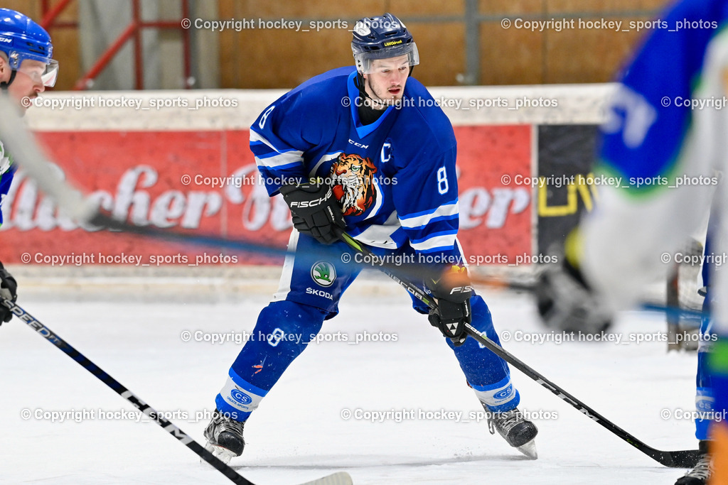 EC Tigers Paternion vs. EC Virgen 12.2.2023 | #8 Ortner Sandro