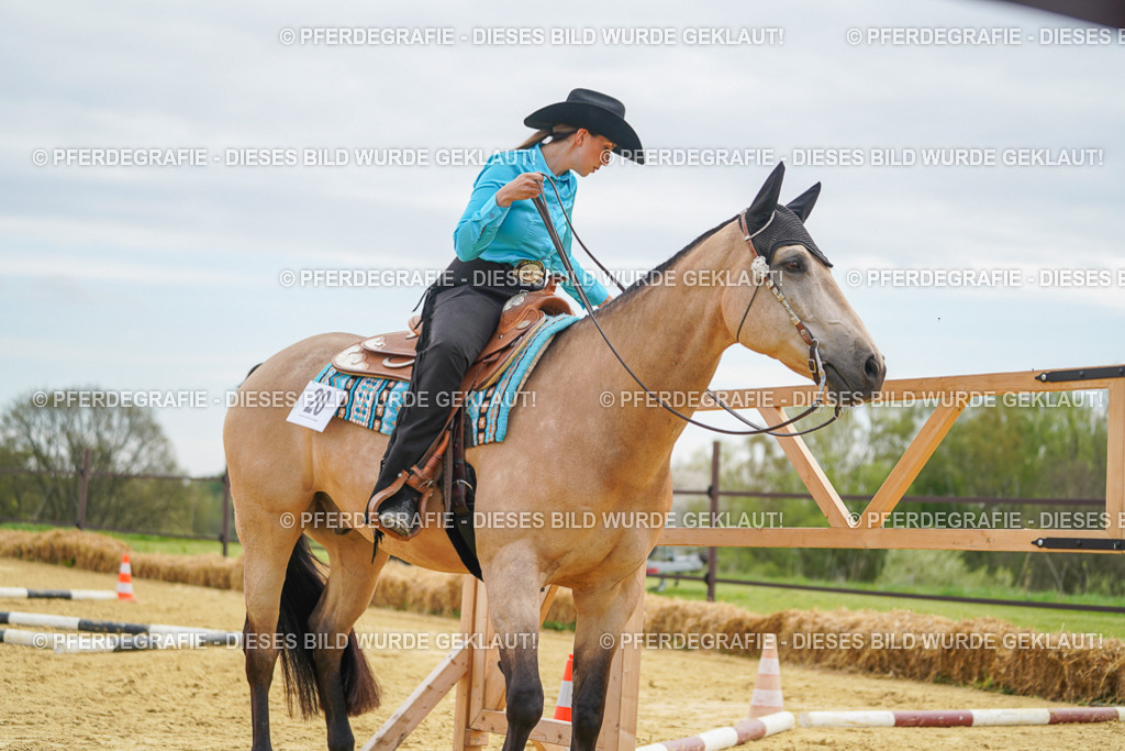 DSC03365 | Pferdegrafie