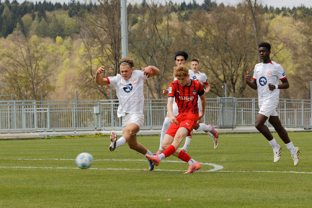 FCHOFK_260418_6-6 | 1.FC Heidenheim 1846 vs. Offenbacher Kickers, Fußball, U17, B-Junioren, NWL, U17-DFB-Nachwusliga, 2025/2026, 10. Spieltag, 18.04.2026 in Heidenheim, Walter-Birkhold-Jugendstadion (Foto: Michael Bulling) - Realisiert mit Pictrs.com