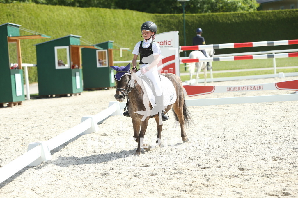 DL2Q0819 | Willkommen bei Brunnmayr - Design & Fotografie – Ihrem Spezialisten für Reitturniere und Pferdeveranstaltungen in Oberösterreich, Salzburg und Bayern! Seit über 17 Jahren sind wir leidenschaftlich dabei.