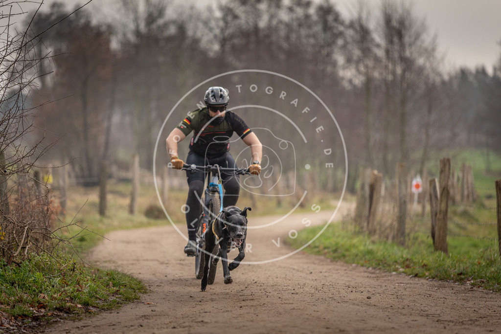 Pfotenfotografie_DV3A1691 | Hundefotografie, Tierfotograf, Pfotenfotografie, Fotoshooting Hund, Hunde Portrait, Hundesport, Hundeportraits, Heideshooting, Hunde, Sportfotograf, Hundefotograf, Turnierhundsport, THS,  - Realisiert mit Pictrs.com