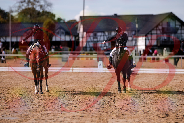 2026_10_03_Siefer-Hof_131941_Z81_69409081 | Professionelle Reitsport-, Turnier- und Eventfotografie von Robert Broda. Galerien mit ausgewählten und bearbeiteten Bildern direkt online ansehen und bestellen.