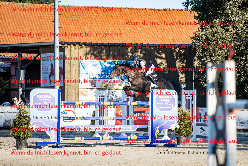 BK1A8479 | Turnierbilder Turnierfotos Nina Hüffmann Turnierfotografie Pferdefotografie Tierzeichnung Haustierzeichnung Pferdezeichnung Hundezeichnung Videograf  - Realisiert mit Pictrs.com