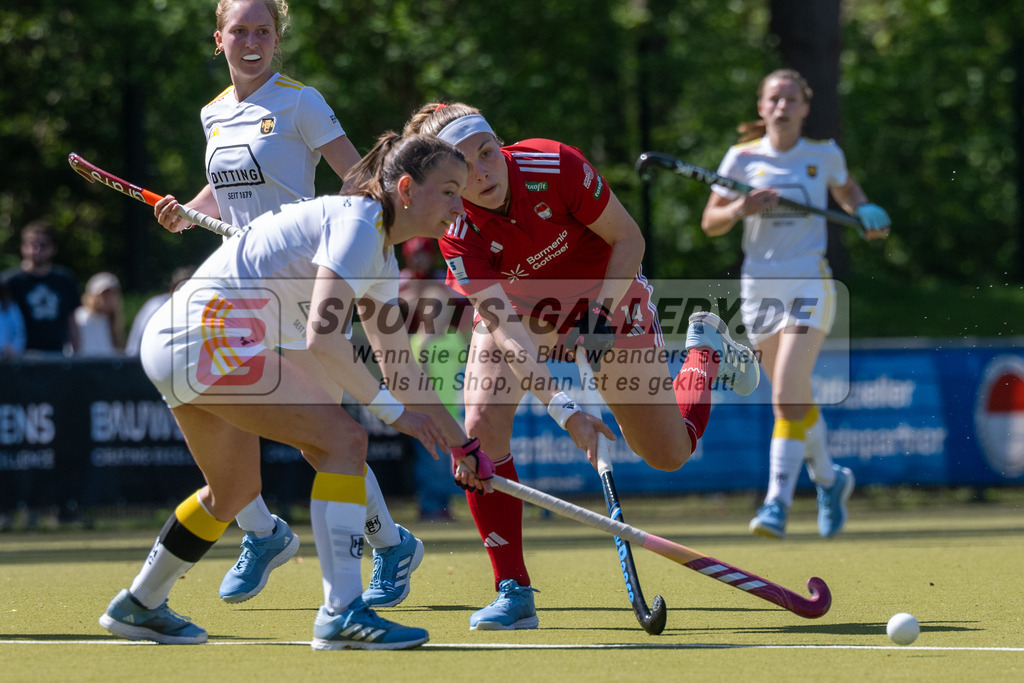 SFE_20250412_0103 | Köln, Deutschland, 12.04.2025:  Hockey 1. Bundesliga Damen Rot-Weiss Köln - Harvestehuder THC im KTHC Stadion Rot-Weiss Köln Tennis and Hockey Club am 12.04.2025 in Köln, Deutschland. (Foto von Stephan Fehrmann)Köln, Germany, 12.04.2025: Hockey 1. Bundesliga Damen Rot-Weiss Köln - Harvestehuder THC in KTHC Stadion Rot-Weiss Köln Tennis and Hockey Club at 12.04.2025 in Köln, Deutschland. (Foto from Stephan Fehrmann)