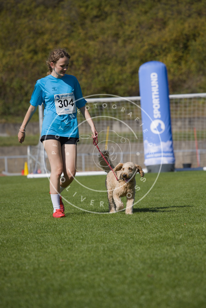 0L8A7350 | Hundefotografie, Tierfotograf, Pfotenfotografie, Fotoshooting Hund, Hunde Portrait, Hundesport, Hundeportraits, Heideshooting, Hunde, Sportfotograf, Hundefotograf, Turnierhundsport, THS,  - Realisiert mit Pictrs.com