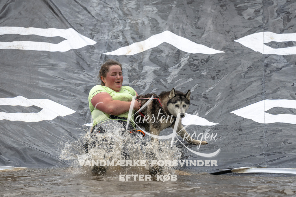 1558_ZZ91724 | kk-dogfotos