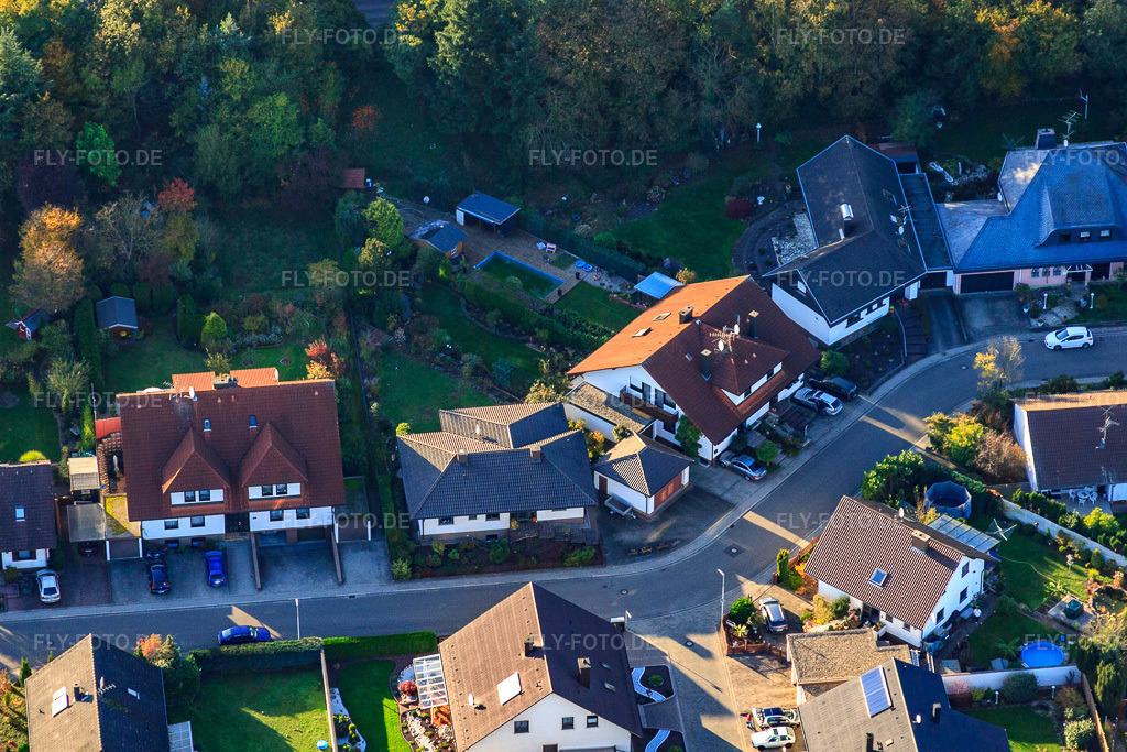 Luftbild: Südring in Rülzheim im Bundesland Rheinland-Pfalz in Deutschland. Foto: IMG_60470.jpg vom 24.10.2013 durch Werner Riehm/FLY-FOTO.de