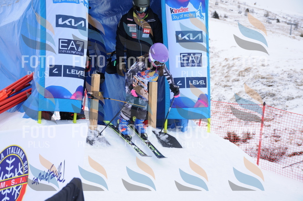 DSC_7831 | holidayphoto