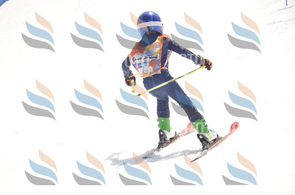 _ELE9391 | holidayphoto