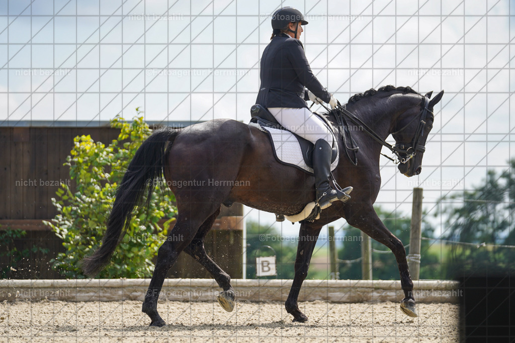 20230826-FAH05758 | Forstinning, 2023, Dressurturnier, Turniersportbilder, Turnierfotografen Bayern, Fotoagentur Herrmann, Reitsportfotografie, Turnierbilder