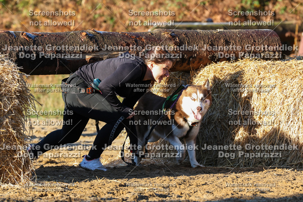Dog Paparazzi - Strongdog 10-25-968 | Dog Paparazzi Jeanette Grottendiek Fotografie & Videografie - Realisiert mit Pictrs.com