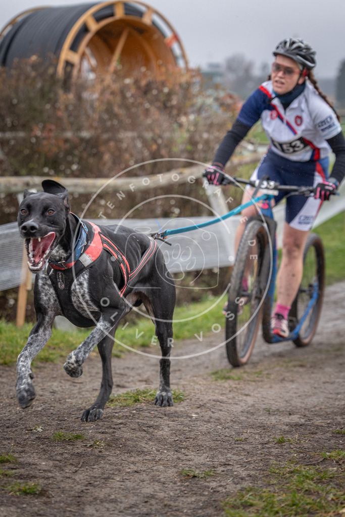 CaniXpix_0L8A0692 | Hundefotografie, Tierfotograf, Pfotenfotografie, Fotoshooting Hund, Hunde Portrait, Hundesport, Hundeportraits, Heideshooting, Hunde, Sportfotograf, Hundefotograf, Turnierhundsport, THS,  - Realisiert mit Pictrs.com