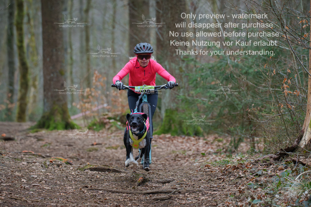 Scooter_So-13 | stephaniefillaphotographie - Realisiert mit Pictrs.com