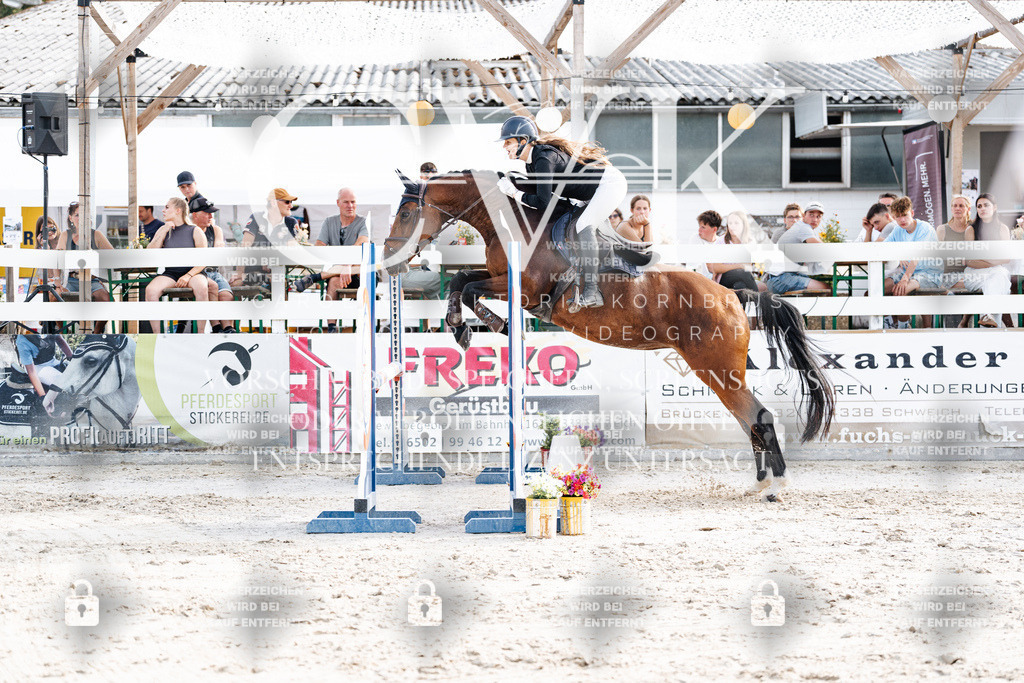 CK906462 | Turnierfotografie Pferdefotografie Trier Rheinland-Pfalz Pferdesport Reitsport Tierfotografie Sportfotografie Pferdevideo Pferdevideografie Equestrianvideography equestrianphotography  - Realisiert mit Pictrs.com