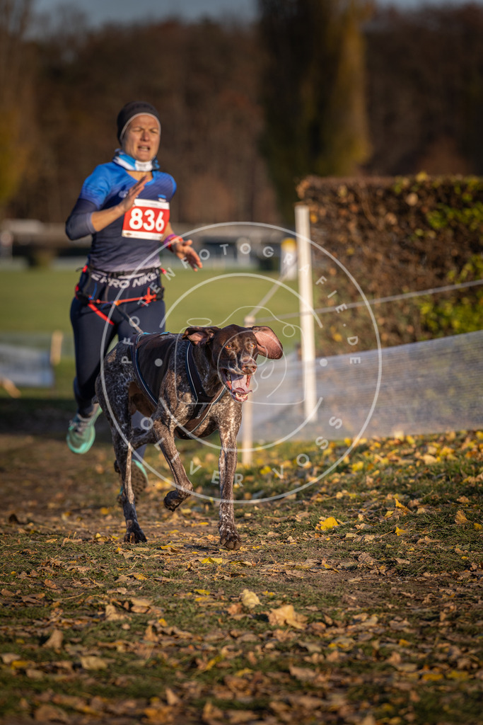 CaniXpix_DV3A3531 | Hundefotografie, Tierfotograf, Pfotenfotografie, Fotoshooting Hund, Hunde Portrait, Hundesport, Hundeportraits, Heideshooting, Hunde, Sportfotograf, Hundefotograf, Turnierhundsport, THS,  - Realisiert mit Pictrs.com