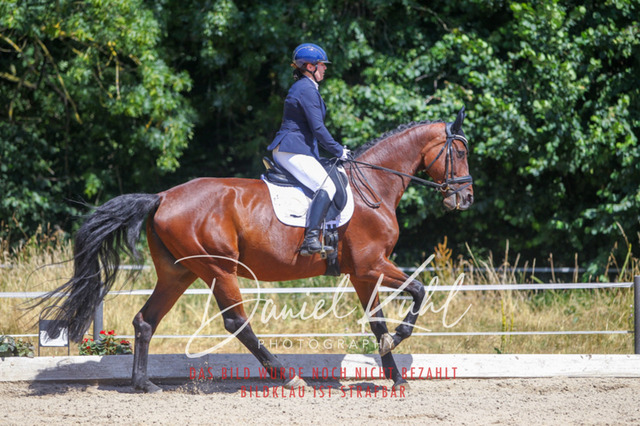 DKP46509 | Turniersportfotografie; Pferdefotografie; Dressurfotografie