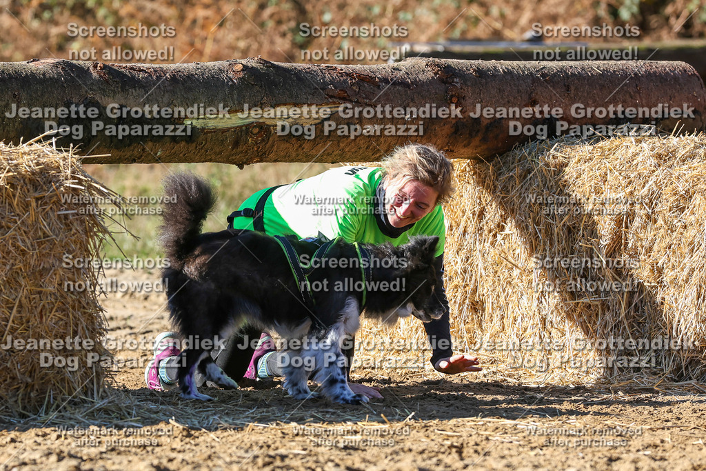 Dog Paparazzi - Strongdog 10-25-2640 | Dog Paparazzi Jeanette Grottendiek Fotografie & Videografie - Realisiert mit Pictrs.com