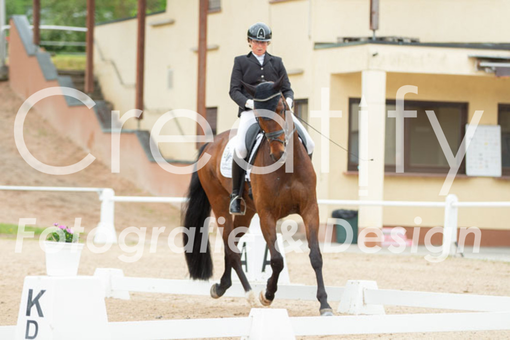 IMG_9721 | Creatify Fotografie