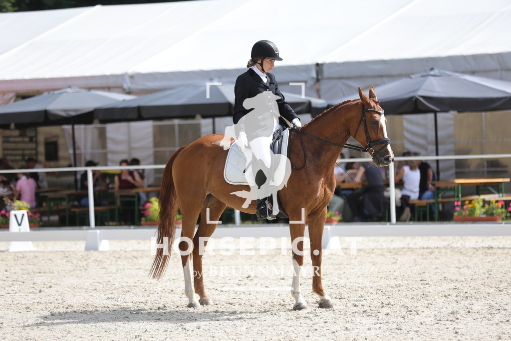 0P6A4958 | Willkommen bei Brunnmayr - Design & Fotografie – Ihrem Spezialisten für Reitturniere und Pferdeveranstaltungen in Oberösterreich, Salzburg und Bayern! Seit über 17 Jahren sind wir leidenschaftlich dabei.