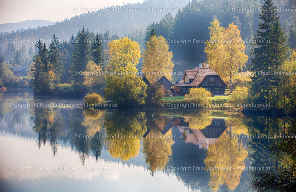 Weisenblasen Walstern Hubertussee_2014_6143 | Fotos und Fotoprodukte - Realisiert mit Pictrs.com