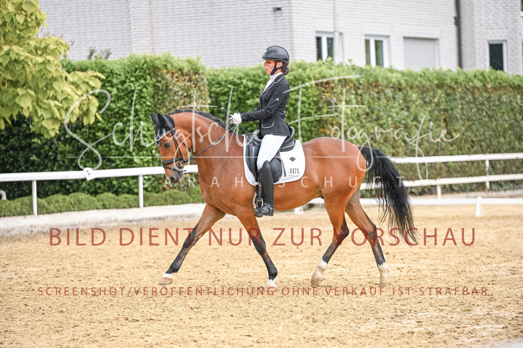 Schugtsche-Aluta25-41.Amat-Dressurprf.A_-468 | Schugtsche Fotografie - Realisiert mit Pictrs.com