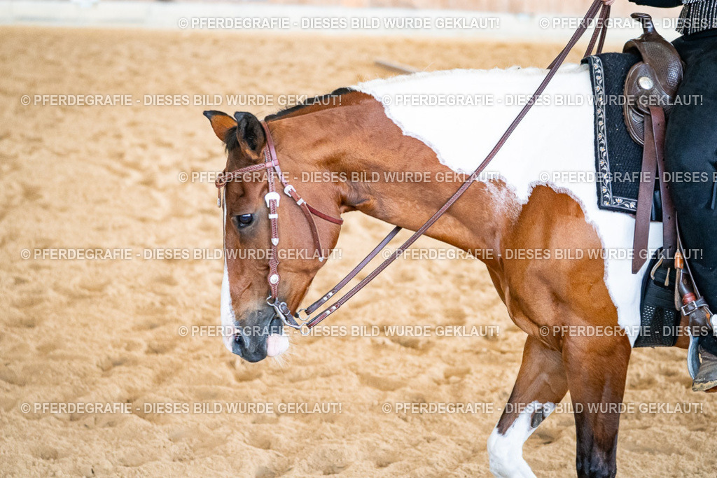 DSC02422 | Pferdegrafie