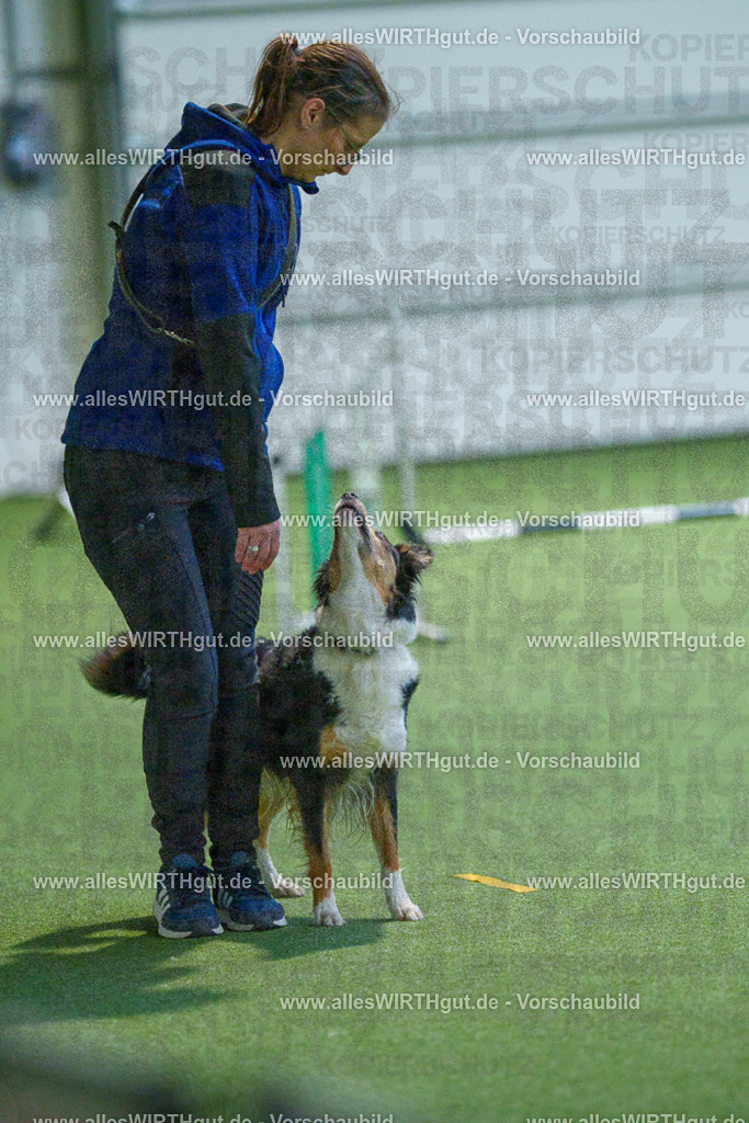 7R503138 | Professionelle Tierfotografie in Mönchengladbach von Daniel Wirth (allesWIRTHgut). Liebevolle & natürliche Bilder von Hunden & Katzen für unvergessliche Erinnerungen.