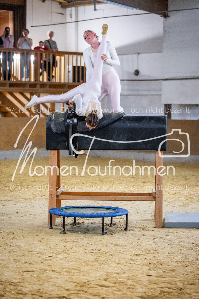 Holzpferd-102 | MomenTaufnahmen Pferdesportfotos