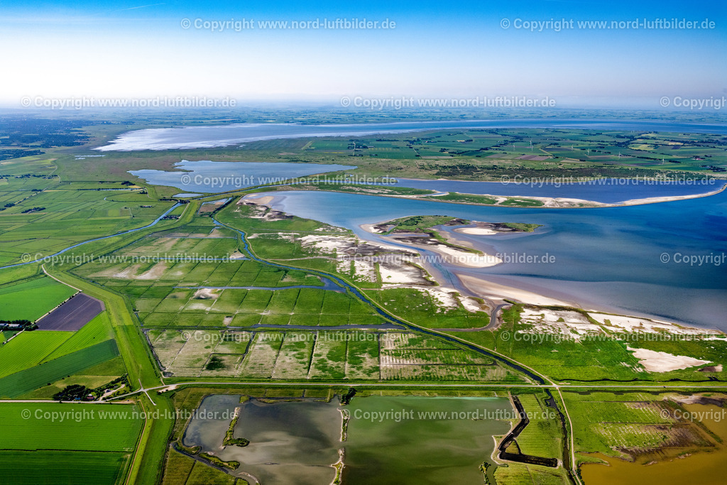 Beltringharder Koog_ELS_8321100623 | HATTSTEDTERMARSCH 10.06.2023 Küsten- Landschaft mit Deich- Schutzstreifen zwischen Beltringharder Koog und Hattstedtermarsch in Nordfriesland im Bundesland Schleswig-Holstein, Deutschland. Ferienquartier an der Arlau -Schleuse. // Coastline with dike protection strips in Hattstedtermarsch in the state Schleswig-Holstein, Germany. Foto: Martin Elsen