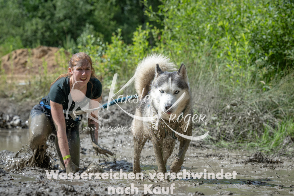 1034_ZZ93059 | kk-dogfotos