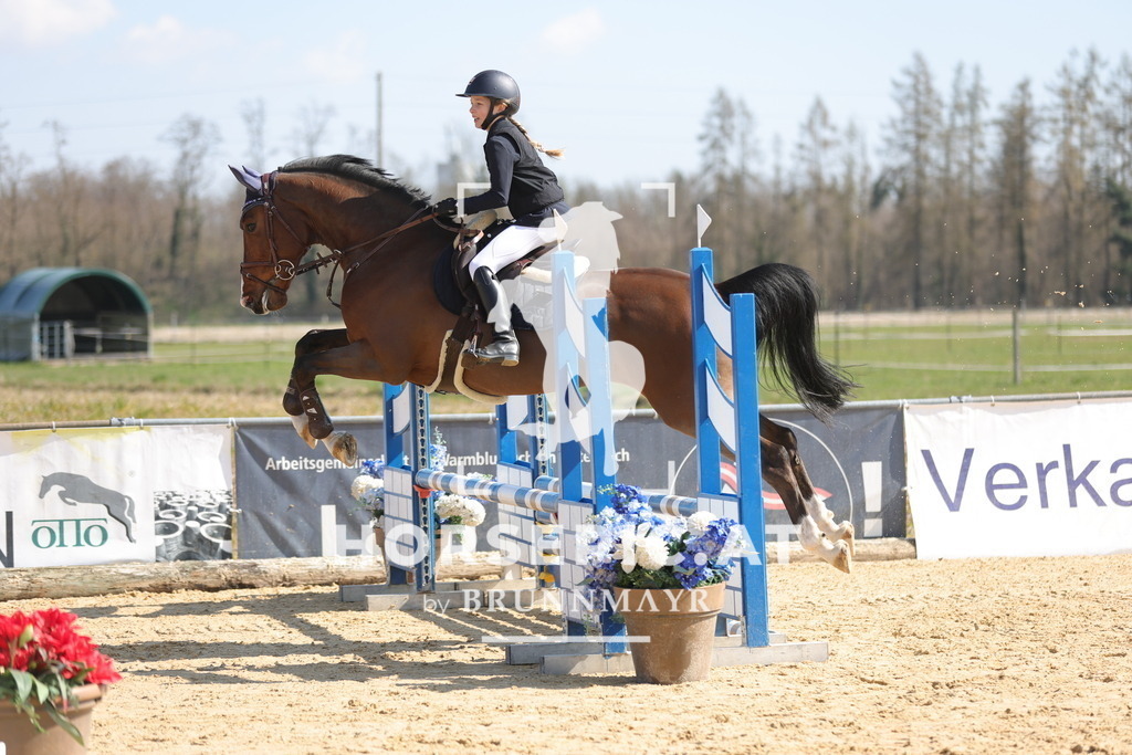 0P6A6694 | Willkommen bei Brunnmayr - Design & Fotografie – Ihrem Spezialisten für Reitturniere und Pferdeveranstaltungen in Oberösterreich, Salzburg und Bayern! Seit über 17 Jahren sind wir leidenschaftlich dabei.