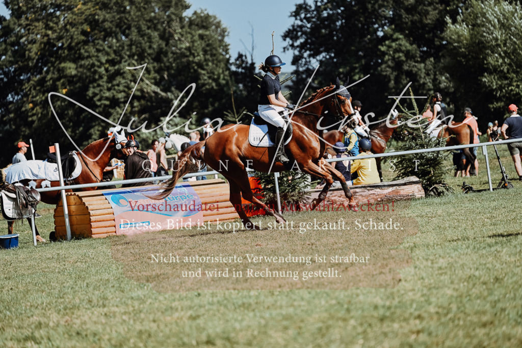 DSC_6766 | Pferde- und Turnierfotografie in Westsachsen. Pferdeportraits, Auftragszeichnungen und intuitive Kunst.