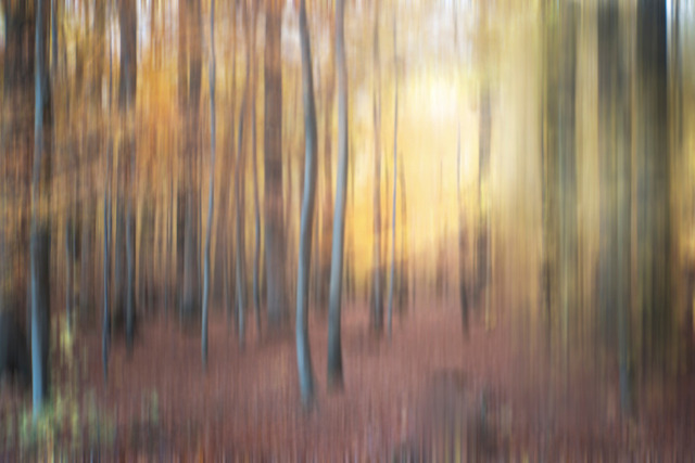 7M308321-Bearbeitet | Outdoorpixl Teßen OHG - Realisiert mit Pictrs.com