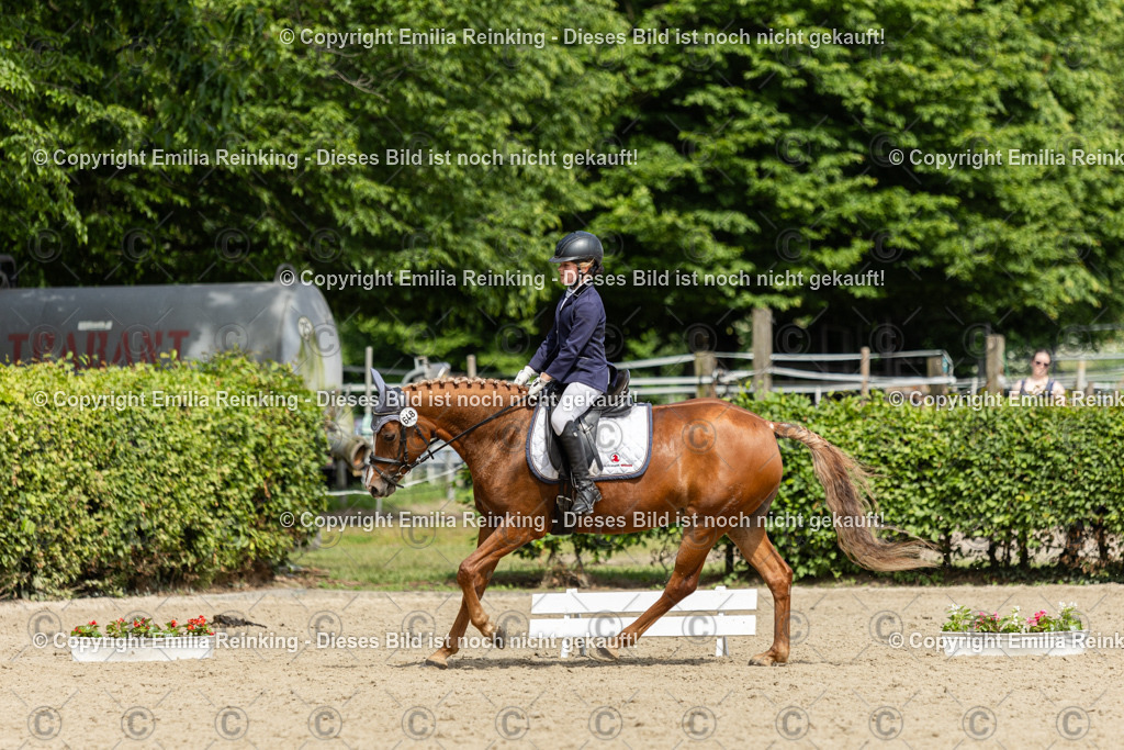 CL5A1340 | Emilia Reinking Fotografie - Realisiert mit Pictrs.com