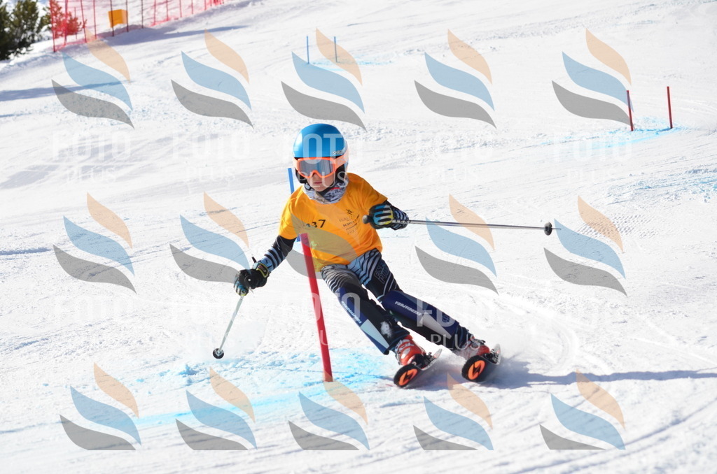 C6501 | holidayphoto