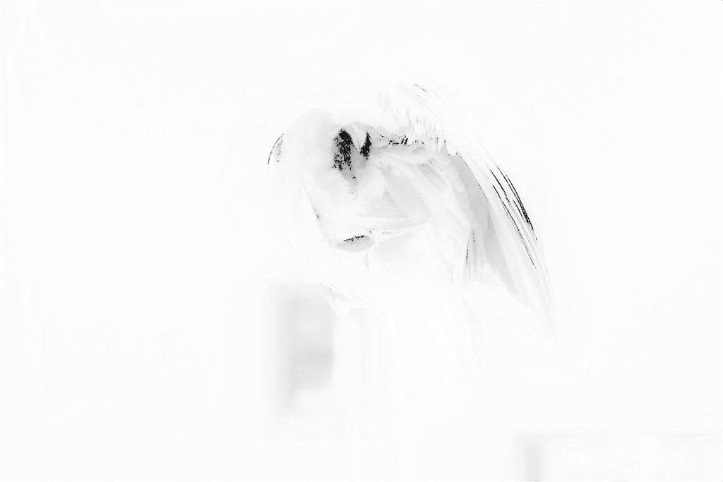 P3710105_f | Annaeherungen - Realisiert mit Pictrs.com