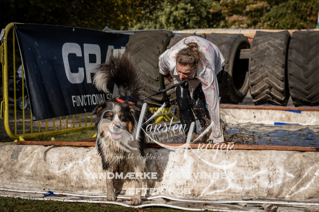 1357_ZZ93467 | kk-dogfotos