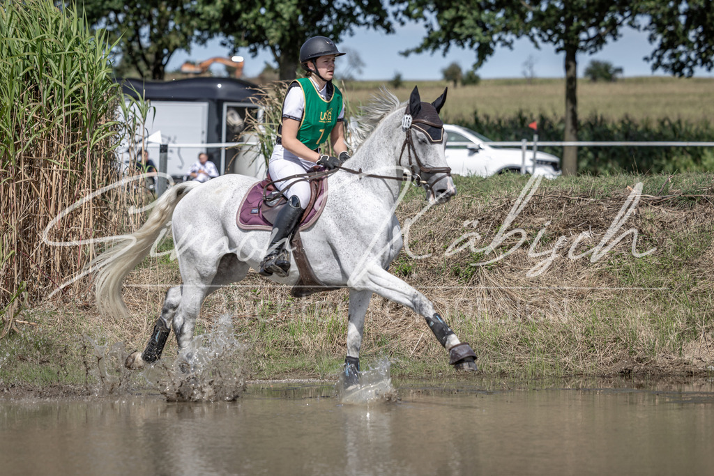 20250907-_3LI0665 | Tierfotografie Pferde, Hunde, Katzen, Haustiere.
Turnierfotografie Reitturniere, Reiten, Springreiten, Dressur in Hanau, dem Main-Kinzig-Kreis und dem Rhein-Main- Gebiet um Frankfurt