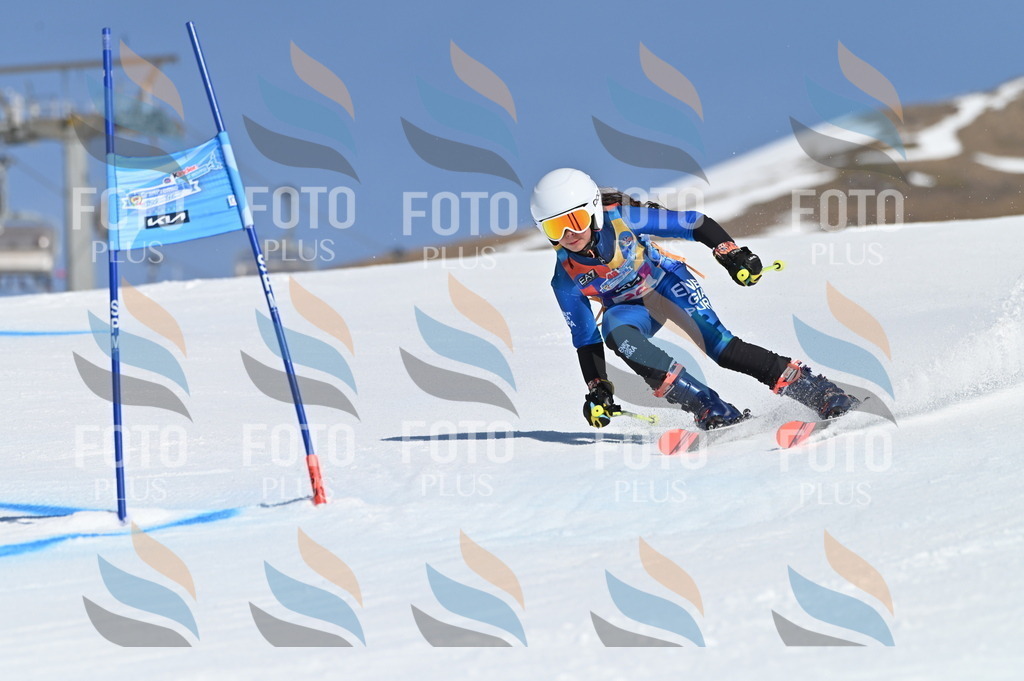 BGV_8072 | holidayphoto