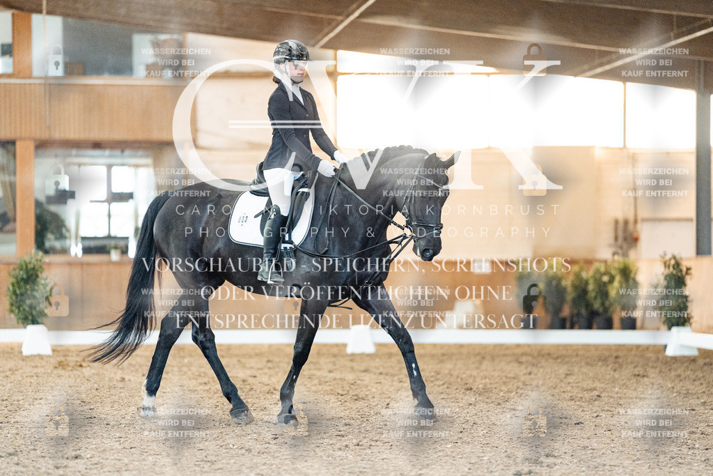 CK906916 | Turnierfotografie Pferdefotografie Trier Rheinland-Pfalz Pferdesport Reitsport Tierfotografie Sportfotografie Pferdevideo Pferdevideografie Equestrianvideography equestrianphotography  - Realized with Pictrs.com
