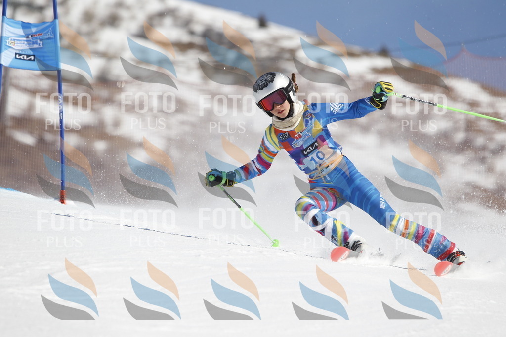 _U3G8646 | holidayphoto