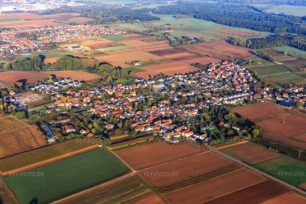 Luftbild: Ortsansicht von Südosten in Knittelsheim im Bundesland Rheinland-Pfalz in Deutschland. Foto: IMG_129809.jpg vom 10.10.2021 durch Werner Riehm/FLY-FOTO.de