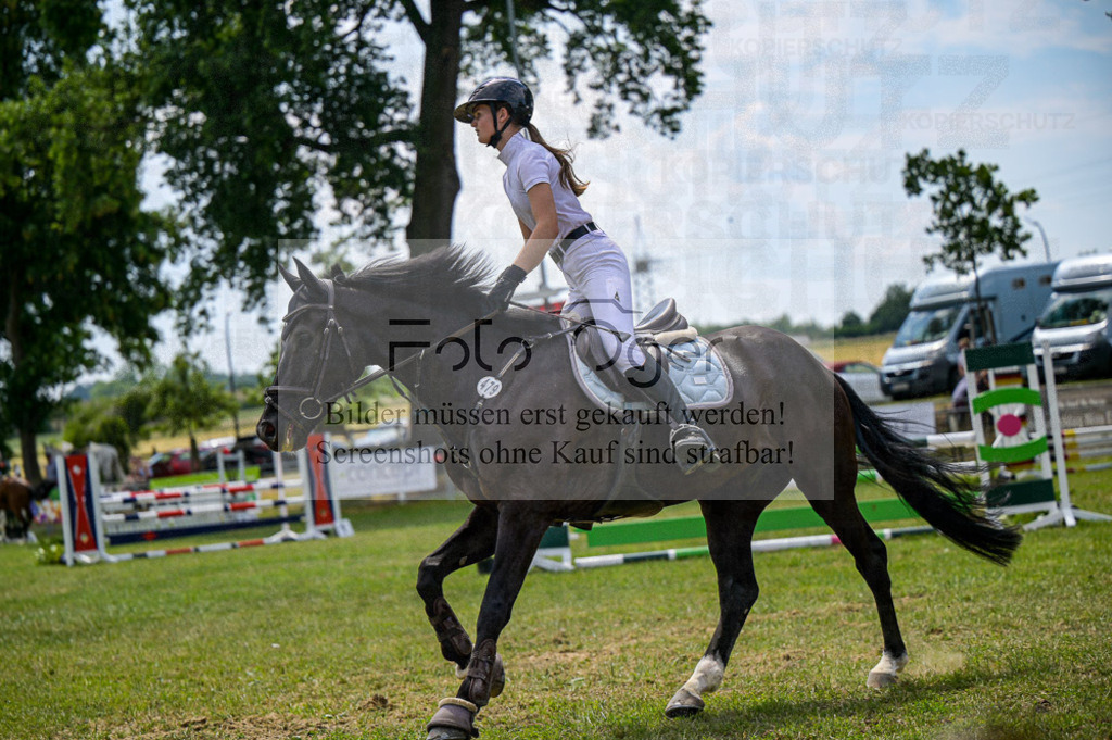 Reitturnier Voxtrup | Entdecke hochwertige Reitturnierfotos von Foto Oger. Professionell, emotional und authentisch – jetzt Lieblingsmomente im Shop bestellen.Deutschlandweite Turnierfotografie. - Realisiert mit Pictrs.com