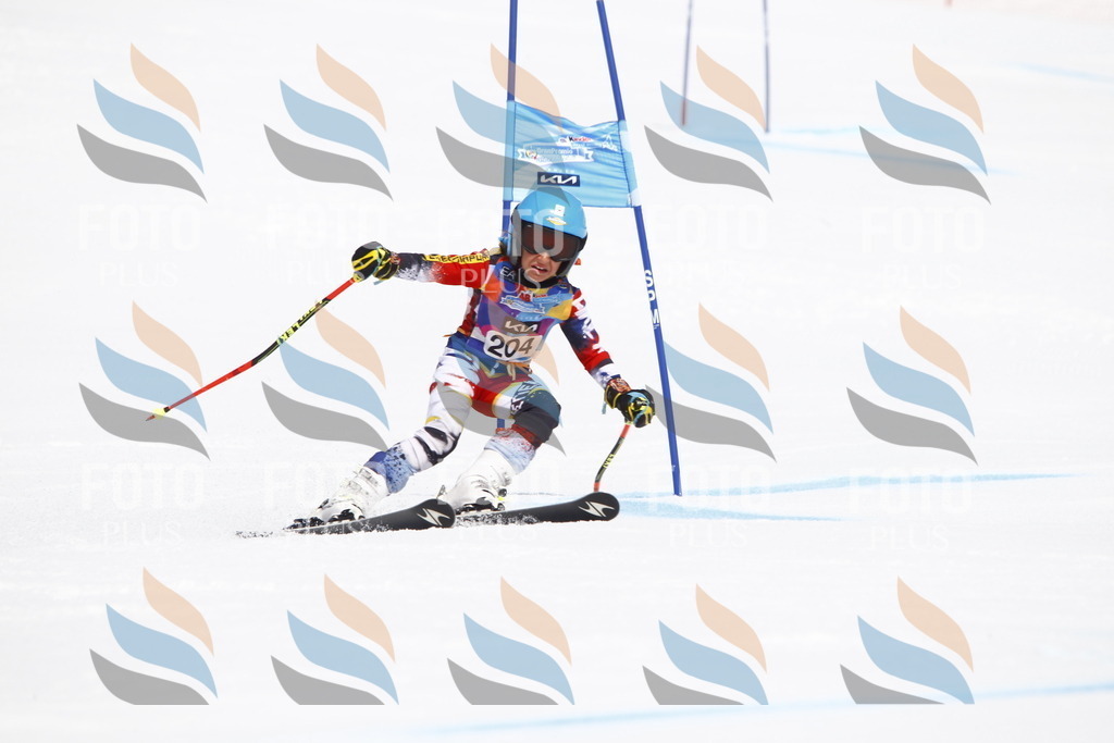 _U3G5295 | holidayphoto