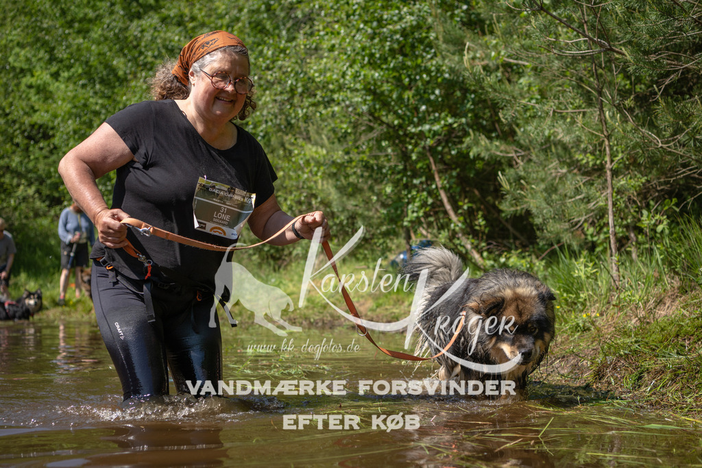 1528DKK993413 | kk-dogfotos