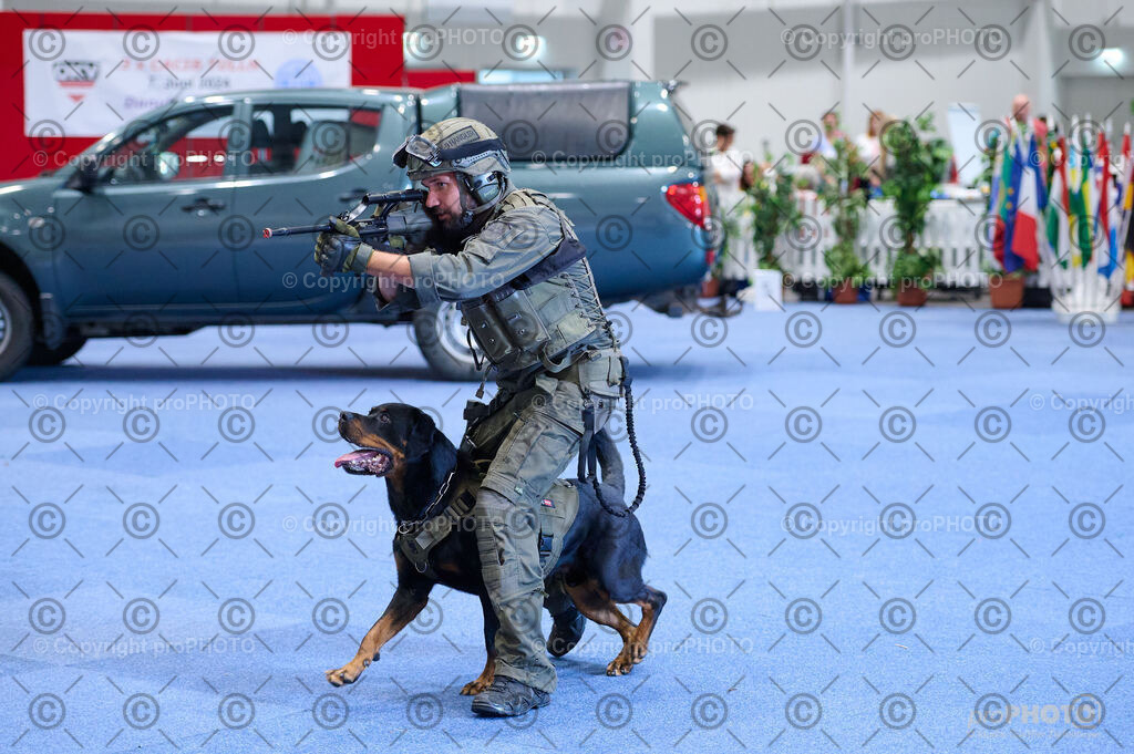 202406_ÖKV-IHA-Tulln24_DSC_2748 | proPHOTO - Realisiert mit Pictrs.com