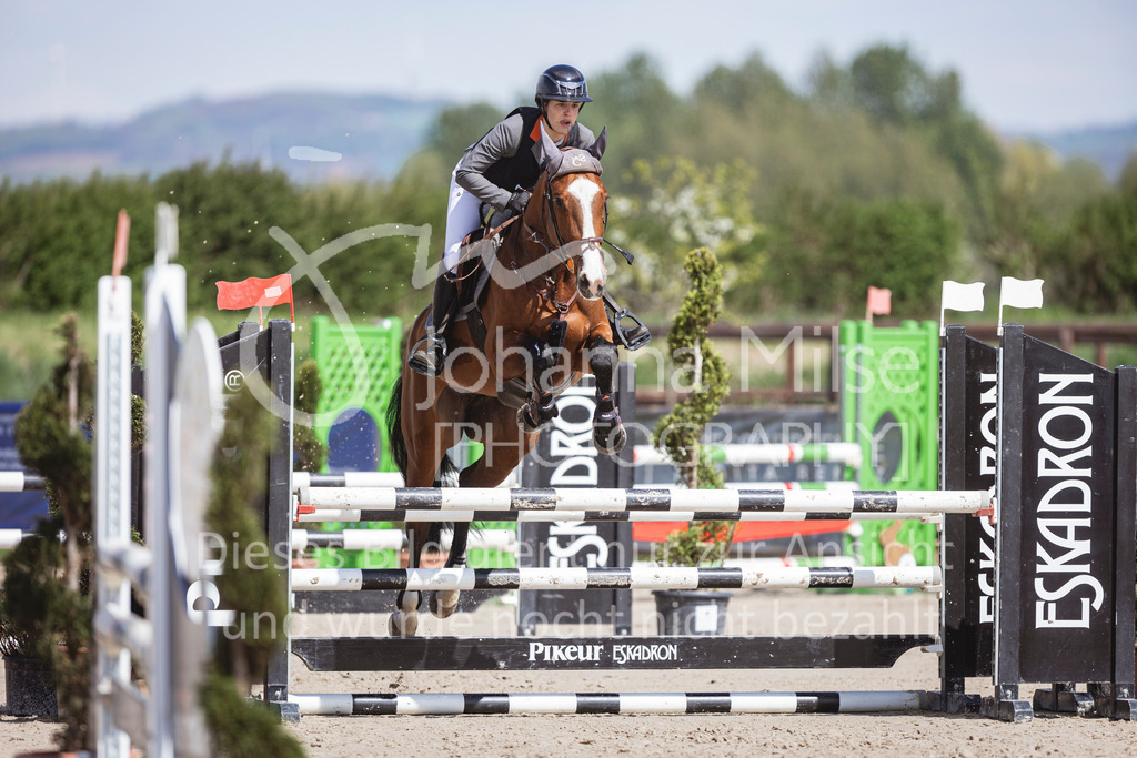 250419_Frühlingsfest_Stil-A2-2-612 | Deine schönsten Turniermomente als professionelle Fotos! Entdecke hochwertige Pferdesport-Fotografie im Online-Shop. Jetzt Fotos finden & bestellen!