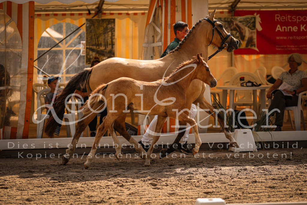 10.DoRP00116 | Leoni Ertmer Photography - Realisiert mit Pictrs.com