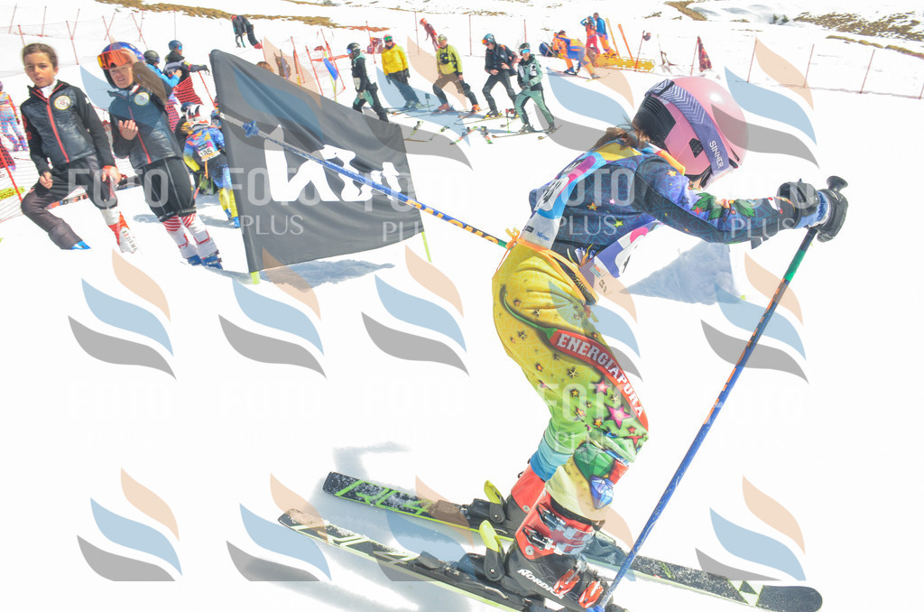 _ELE6287 | holidayphoto